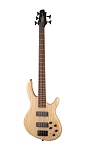 :Cort Action-DLX-V-AS-OPN Action Series -, 5-
