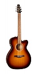 :Seagull Entourage Rustic CW Concert Hall QIT  